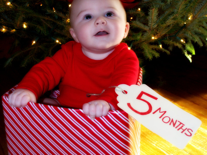 Merry and Bright Five Months