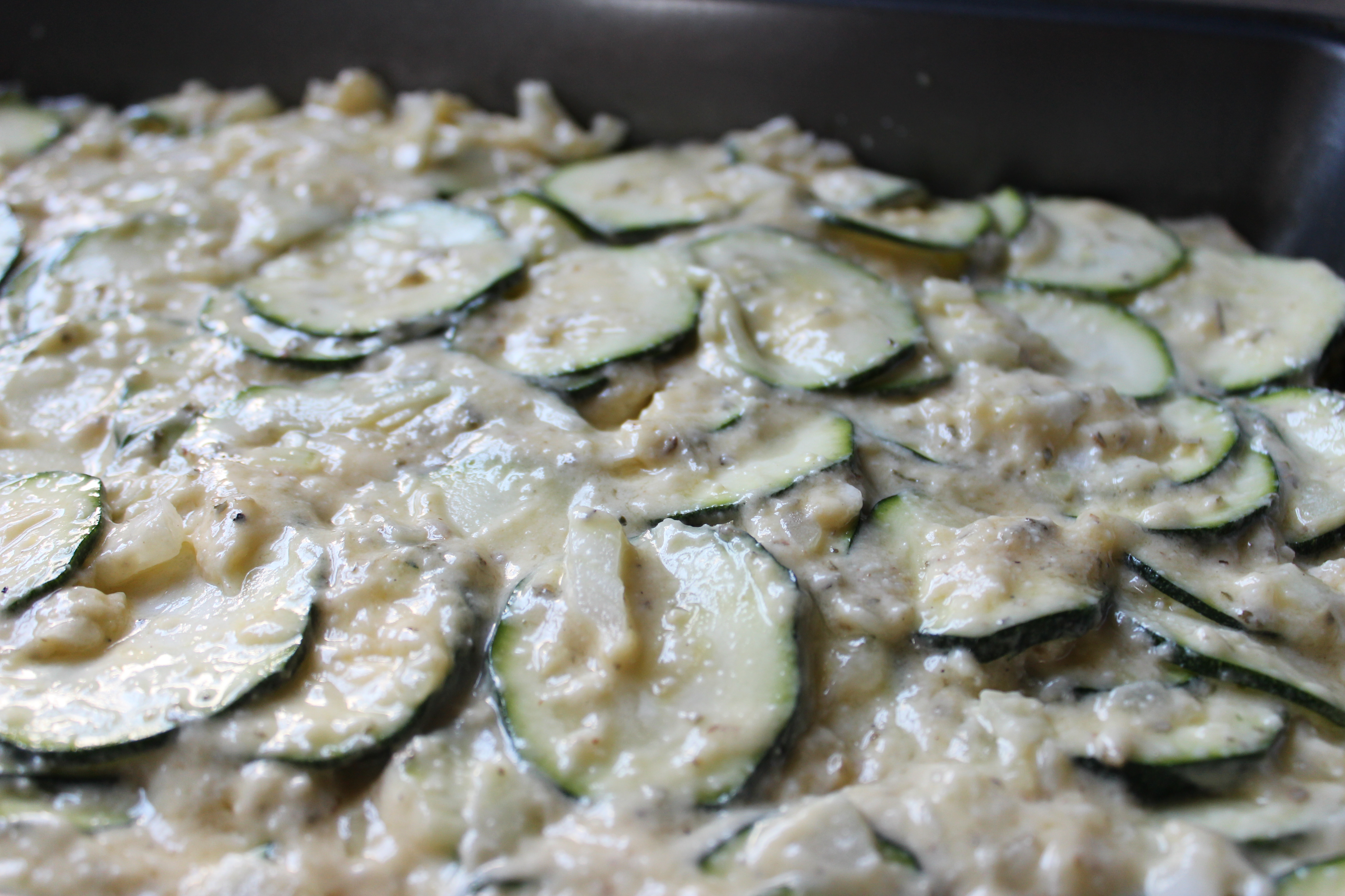 zucchini square pan