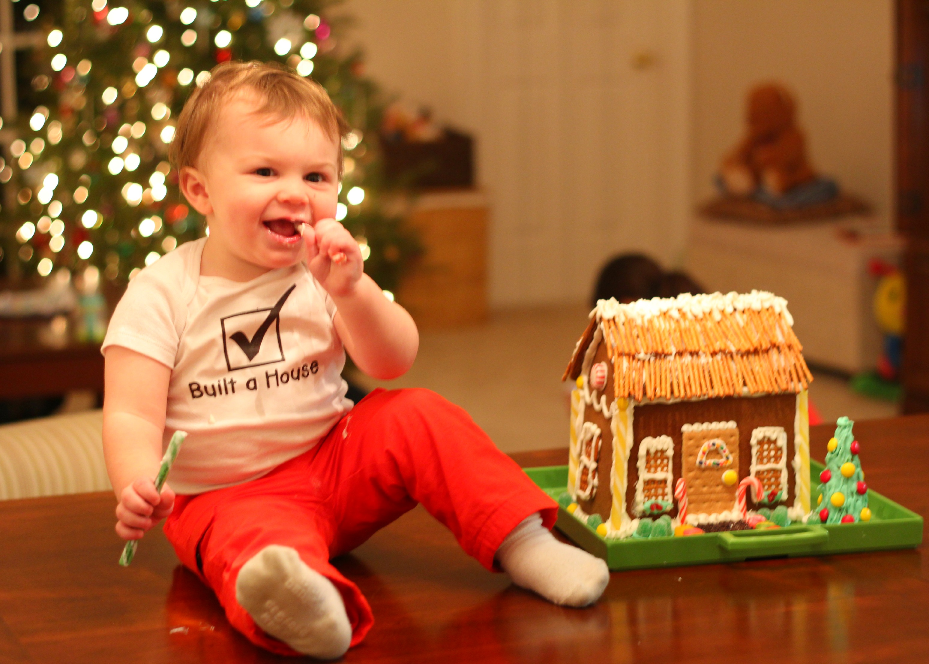 gingerbreadhouse3