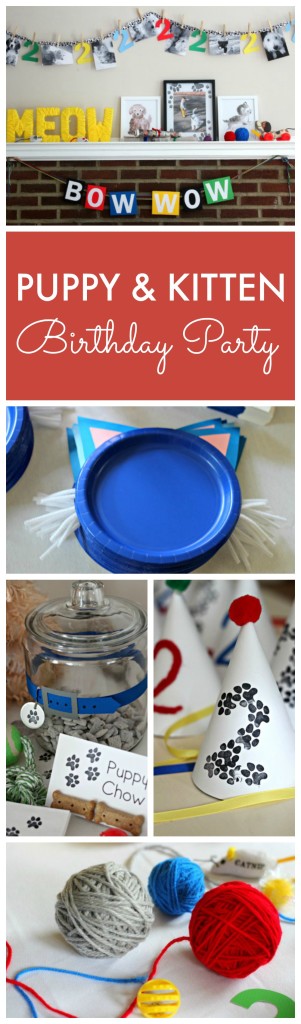 Puppy and Kitten Theme Birthday Party Ideas