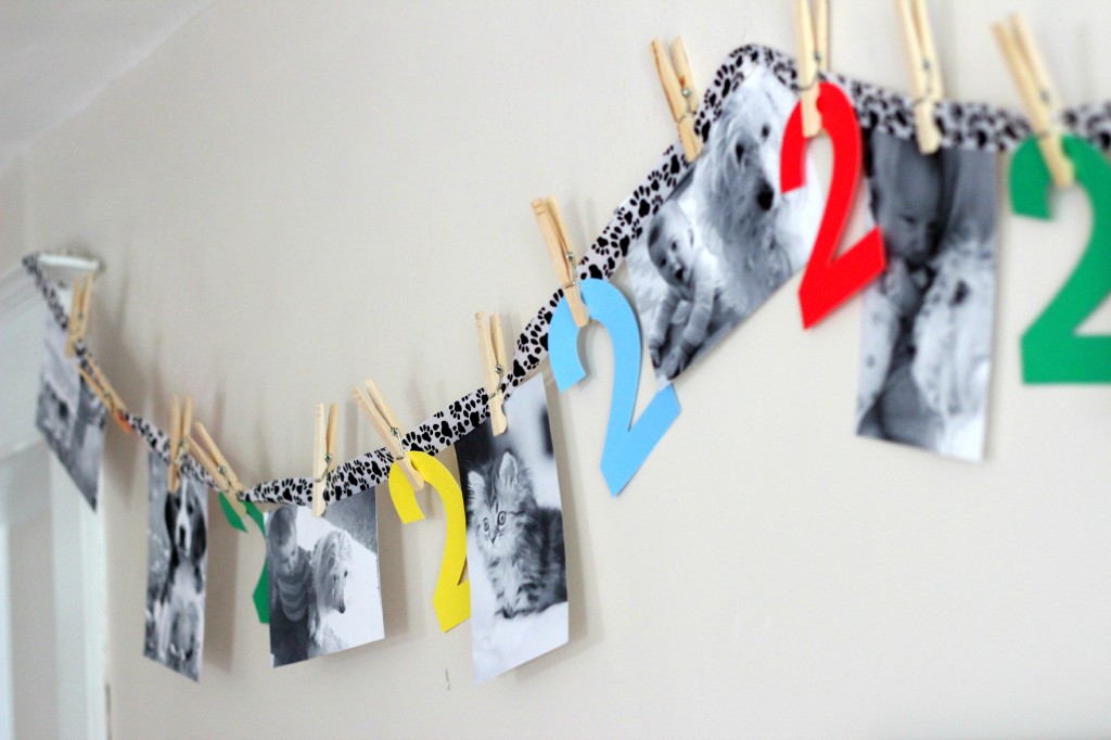 puppy-cat-paw-photo-banner