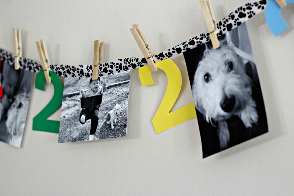 puppy-party-photo-banner