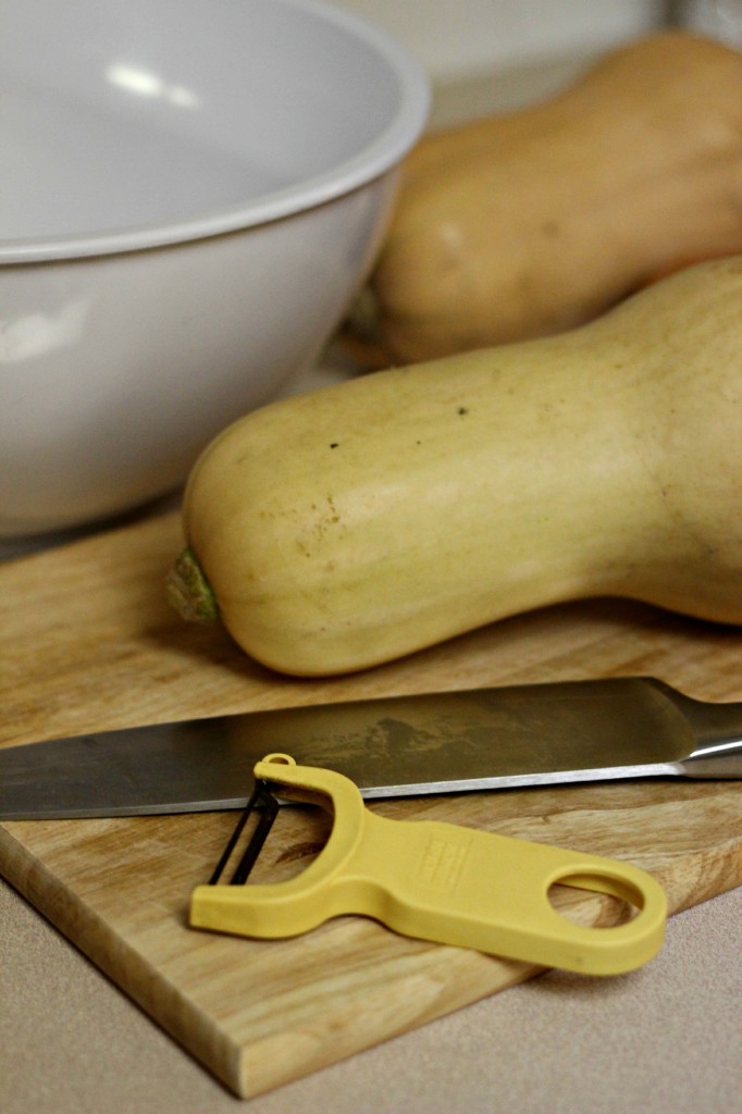 squash_and_chicken_stew