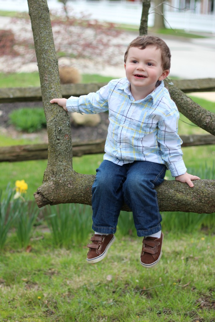 owen-33months-intree