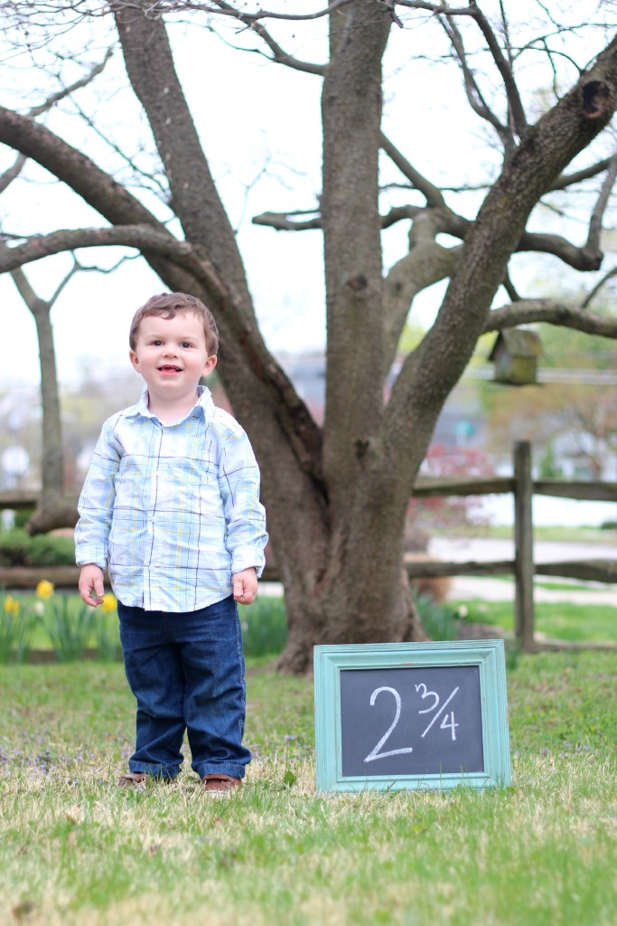 owen-33months-tree