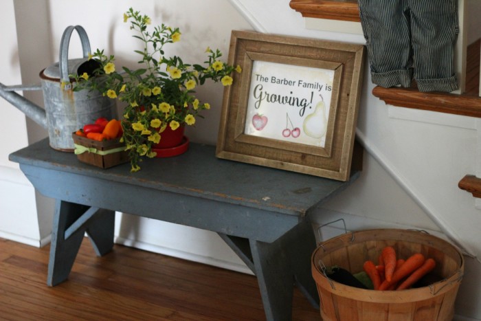 Rustic Farmers Market Baby Shower