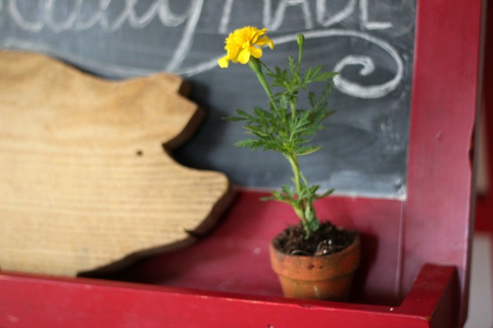 Rustic Farmers Market Baby Shower