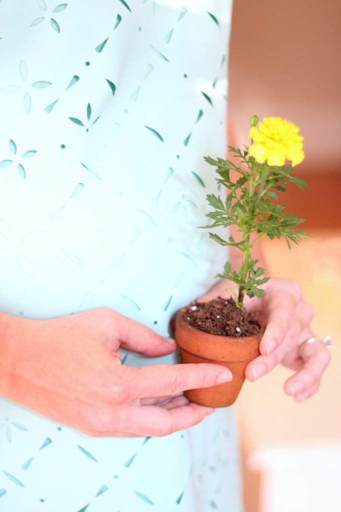 Rustic Farmers Market Baby Shower