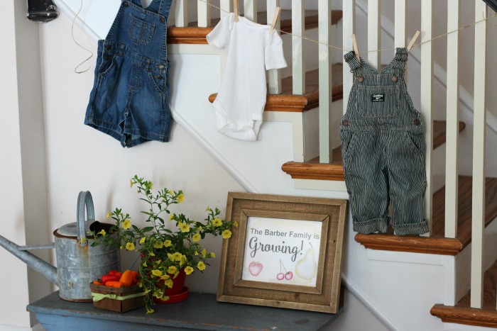 Rustic Farmers Market Baby Shower