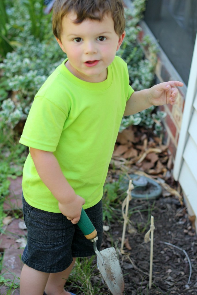 planting seeds at summer solstice party