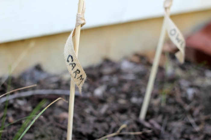 plant markers at summer solstice party