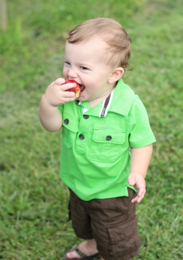 Taste testing every single apple found on the ground.