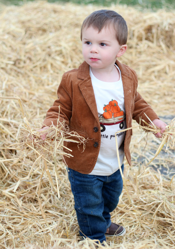 "What do you mean I can't take this hay home?"