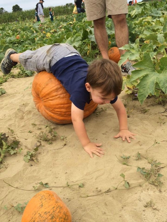 Pumpkin acrobatics!