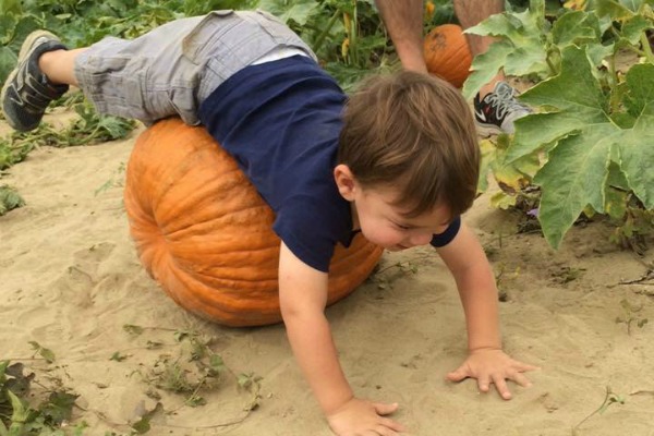 Hayride Hell: Fall Family Outings Gone Bad