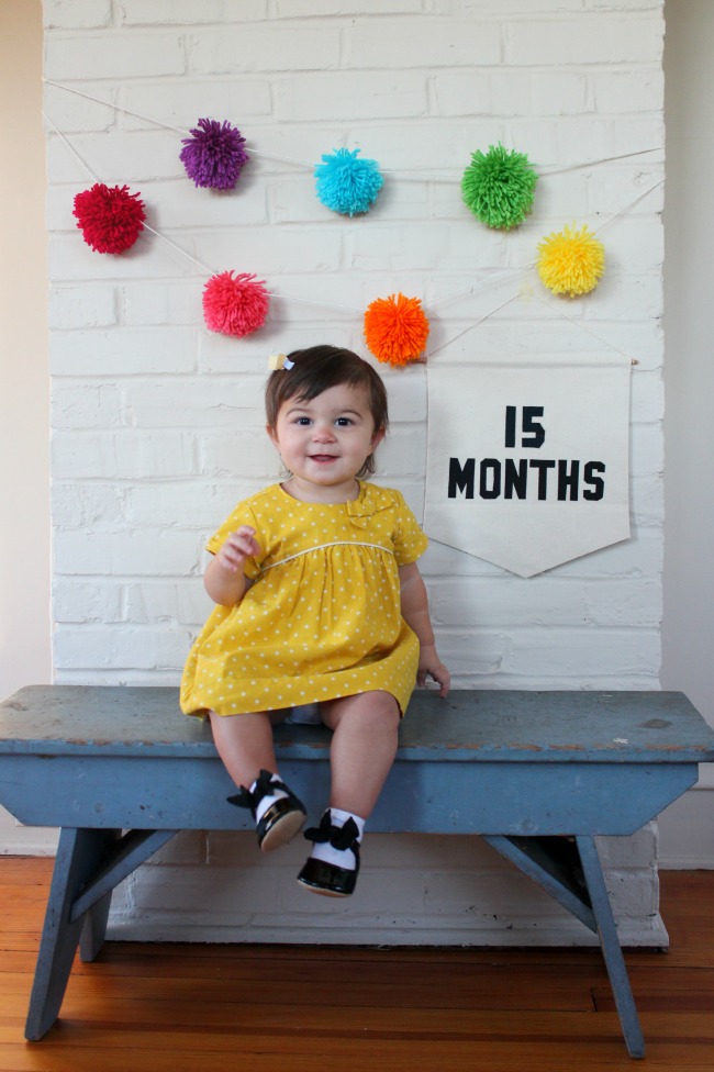 15 months, chronicles of baby's second year