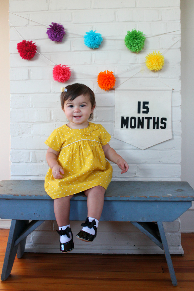 15 months, chronicles of baby's second year