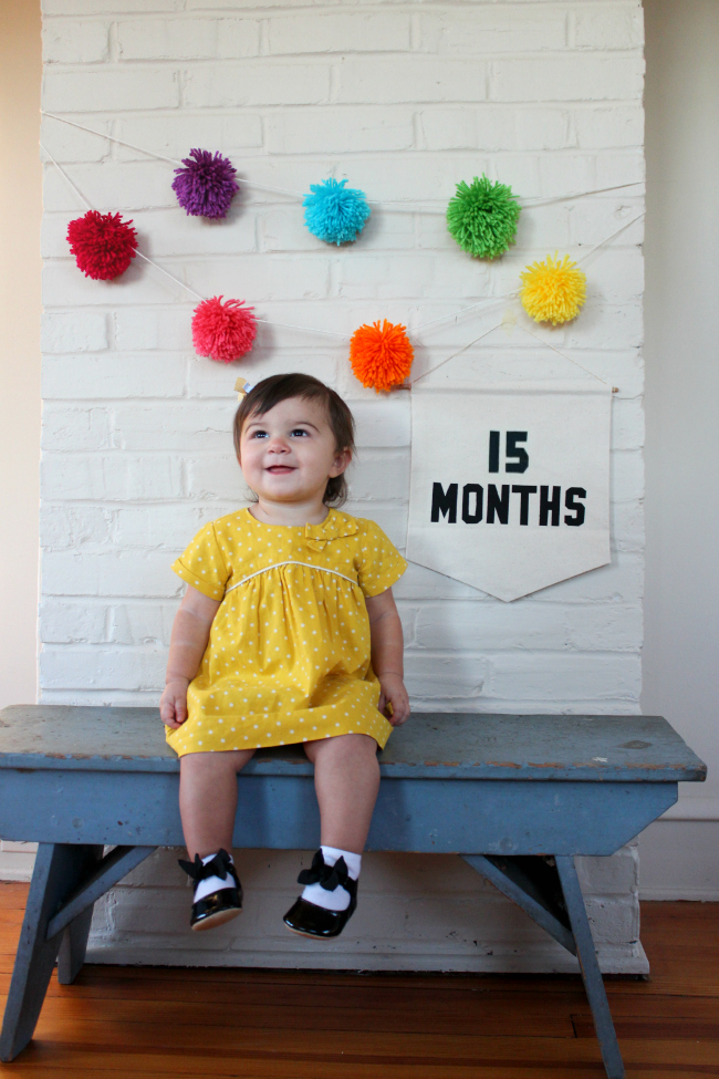 15 months, chronicles of baby's second year