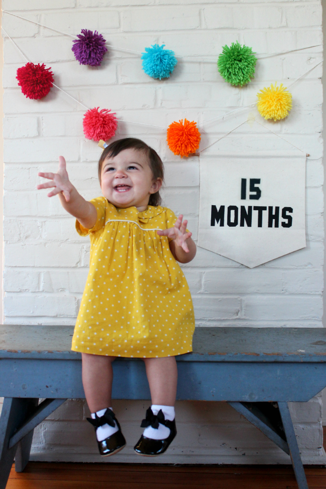 15 months, chronicles of baby's second year