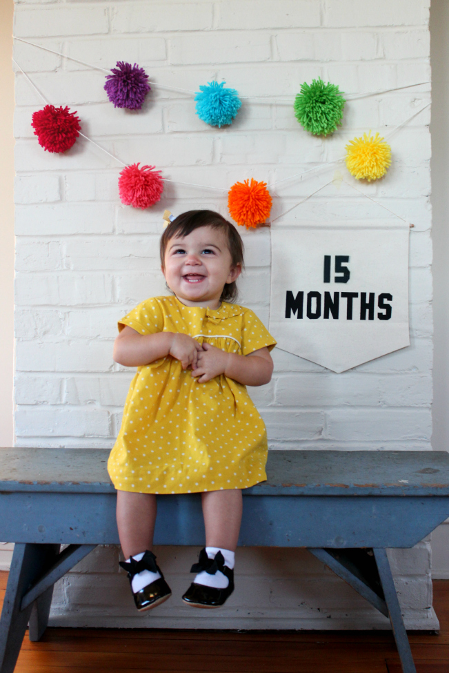 15 months, chronicles of baby's second year