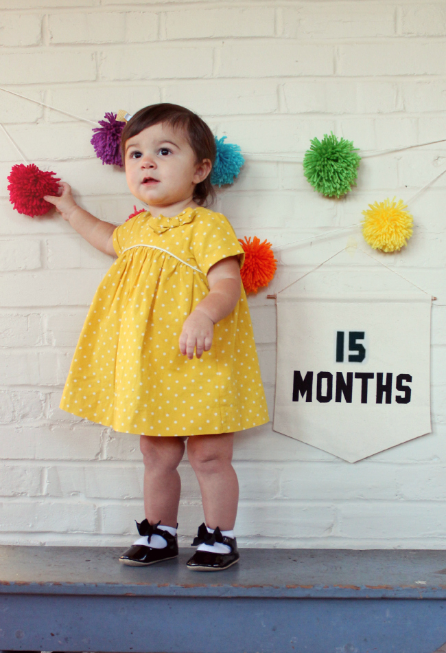 15 months, chronicles of baby's second year