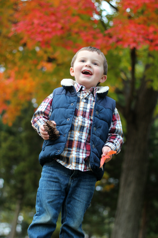 fall photos toddler boy