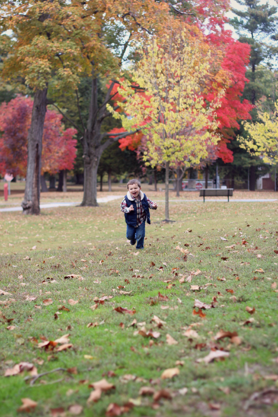 fall photos toddler boy