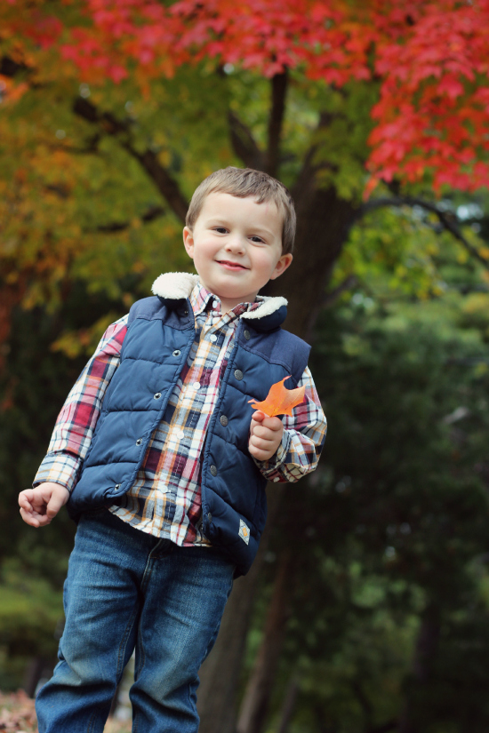 toddler boy autumn photos