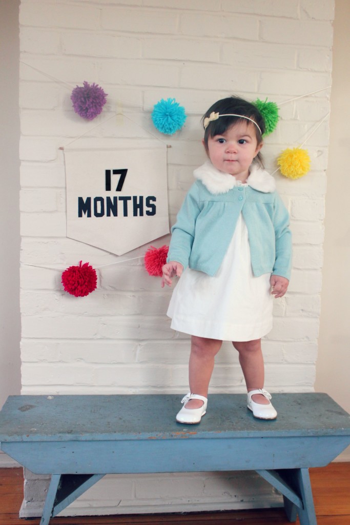 17months-carmendy-second-year-monthly-progression-1