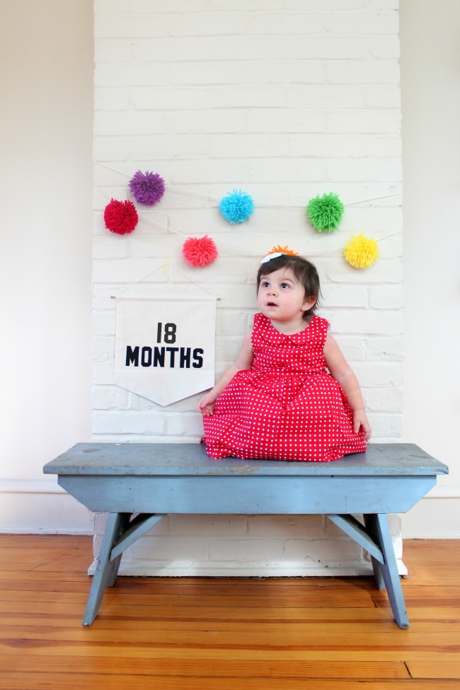 18-months-old-baby-photos-carmendy3