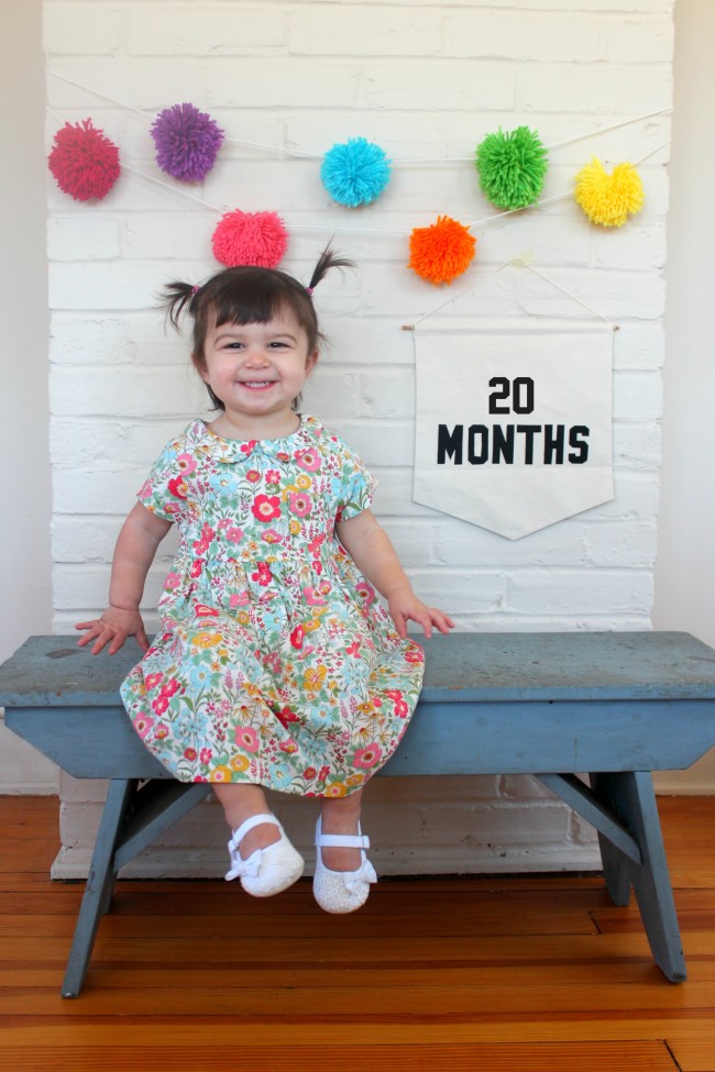 20 Months - Carm 14