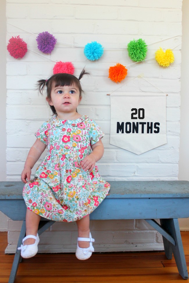 20 Months - Carm 3