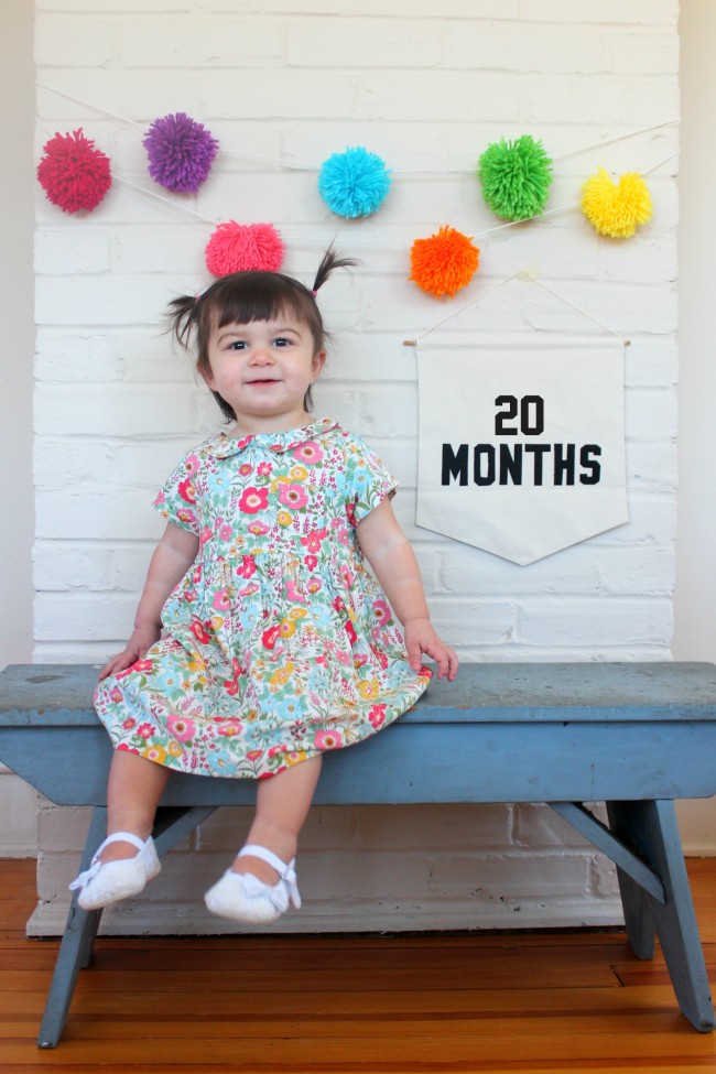 20 Months - Carm 4