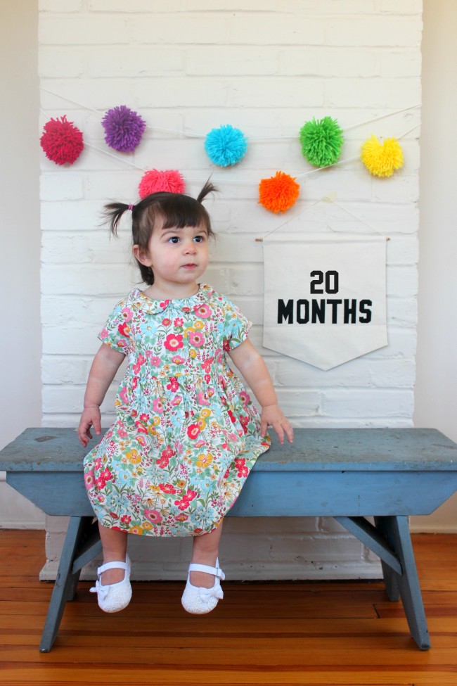 20 Months - Carm 8