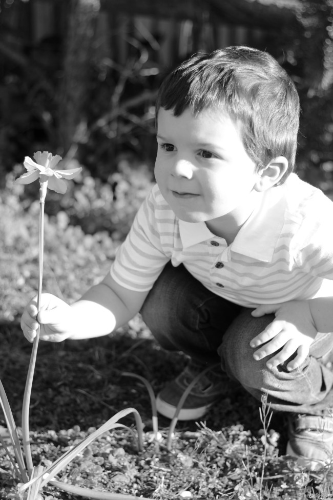 Owen's Quarterly Update - Springtime Photos of Three-Year-Old