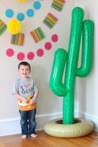 Cinco de Mayo Party Decorations and Ideas