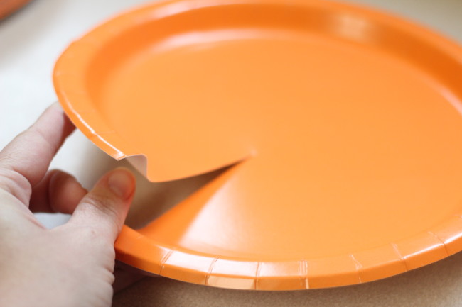 Paper Plate Flower Craft