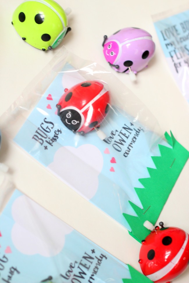 Love Bug Valentines with Free Printable Cards