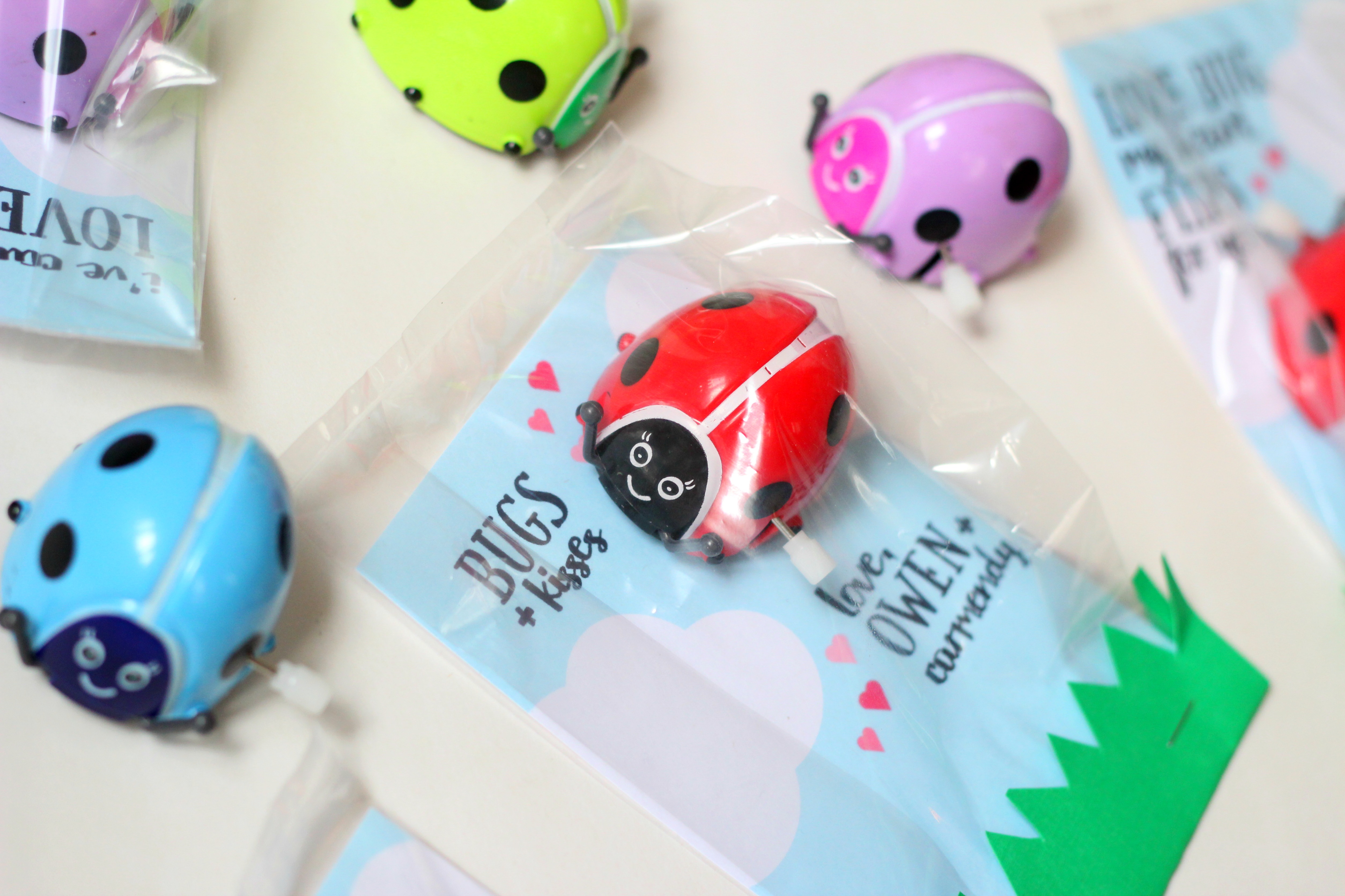 Love Bug Valentines {Bugs and Kisses!}