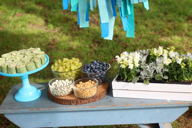 Earth Day Party - Bench Display