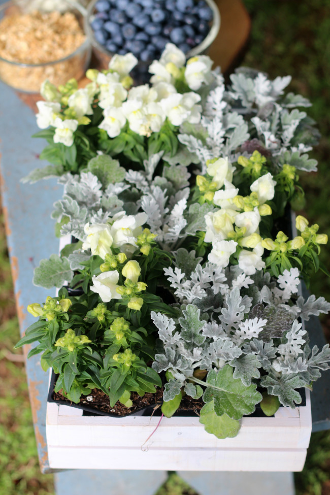 Earth Day Party - Flower Tray