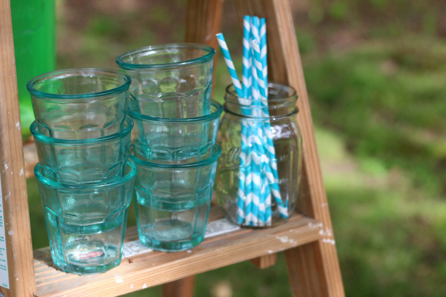 Earth Day Party - Recycled Glassware