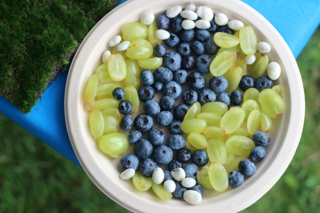 Earth Day Party snack craft