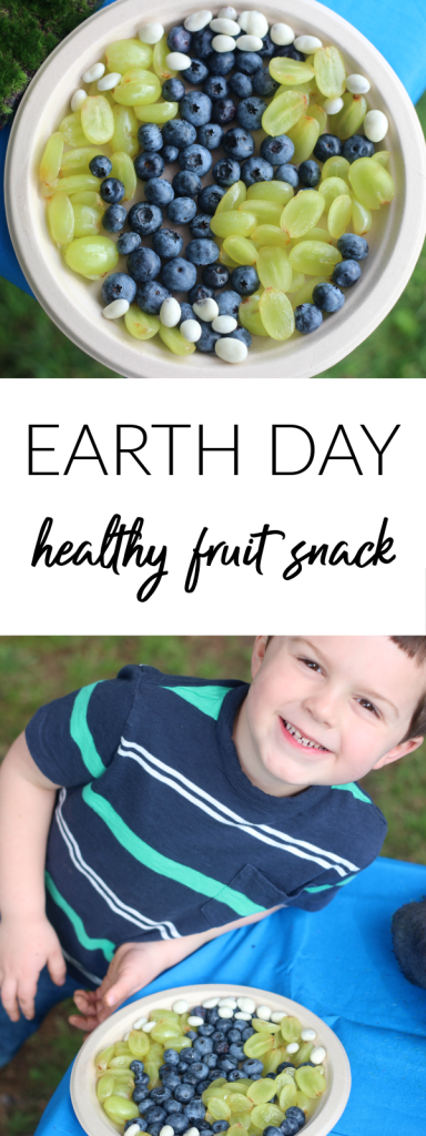 Earth Day Healthy Fruit Snacks