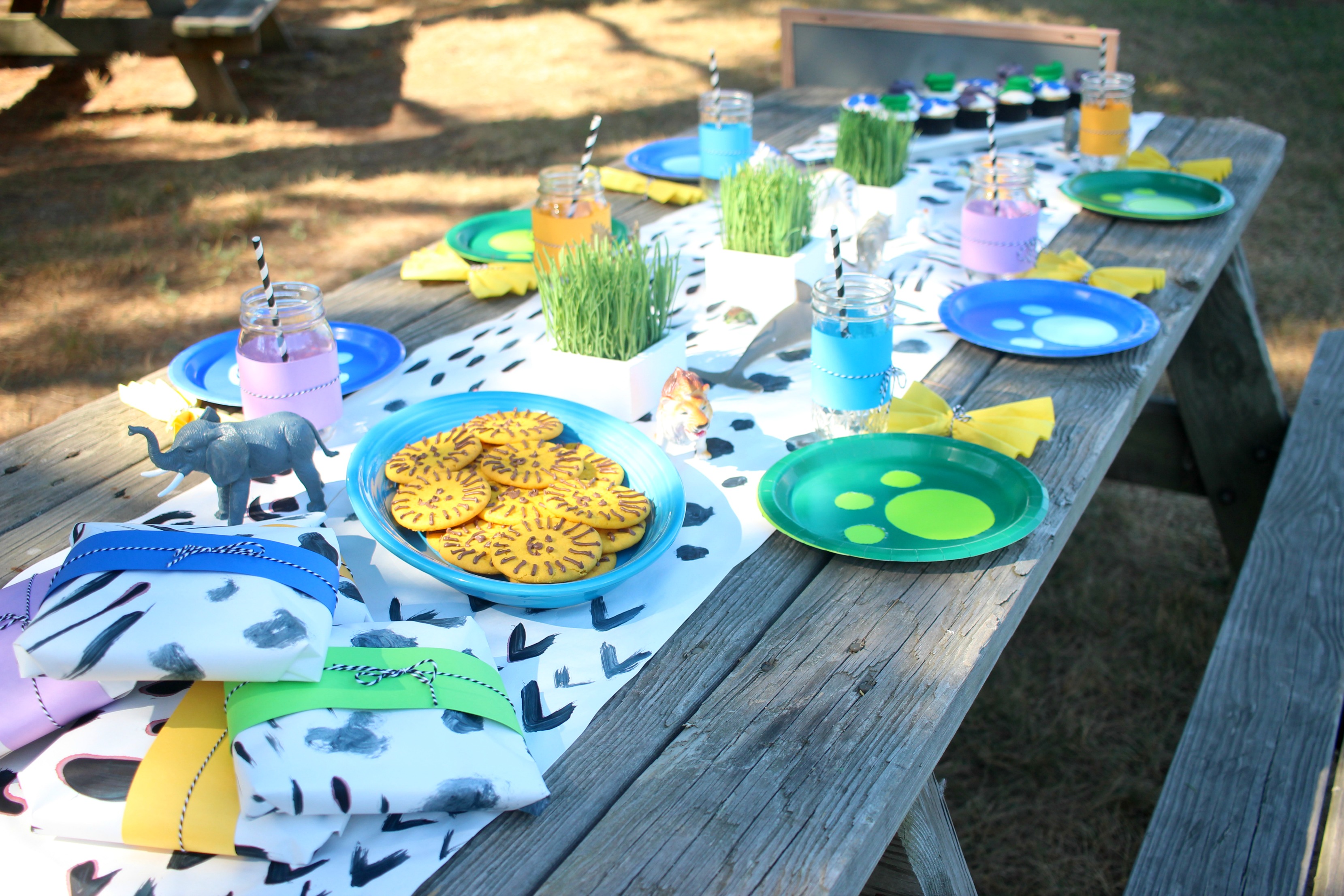 wild kratts birthday party 14