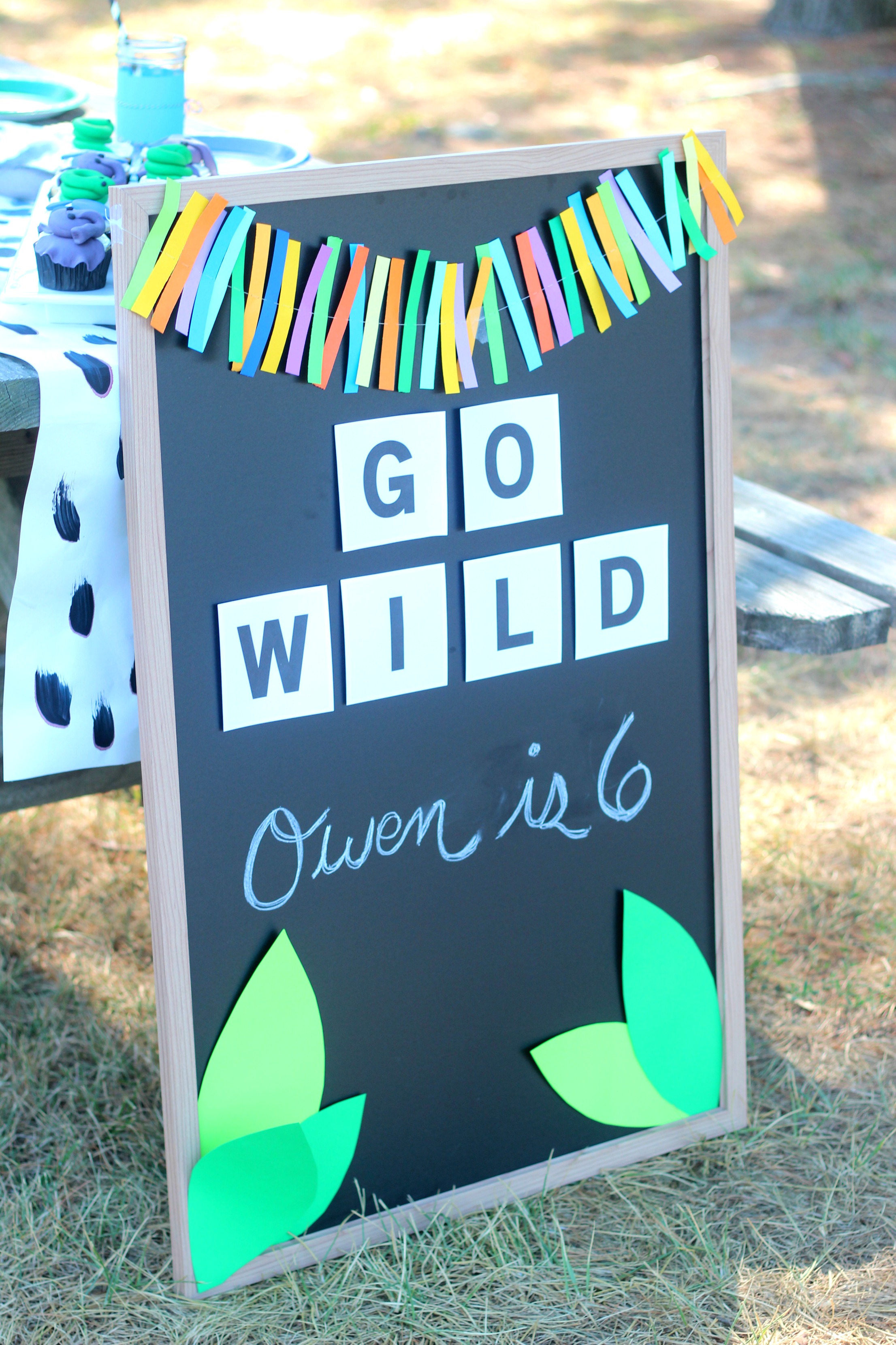 Wild Kratts Birthday Party: A Wild Creature Celebration!