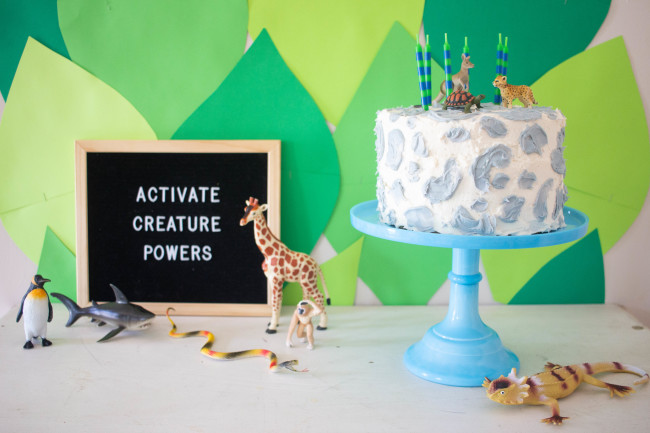 wild kratts birthday party 24