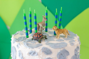 Wild Kratts Birthday Party: A Wild Creature Celebration!