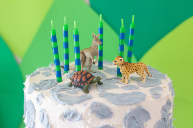 wild kratts birthday party 28