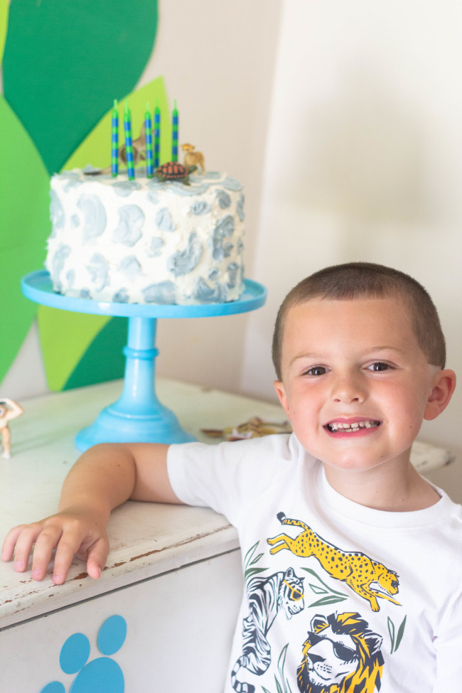 Wild Kratts Birthday Party: A Wild Creature Celebration!